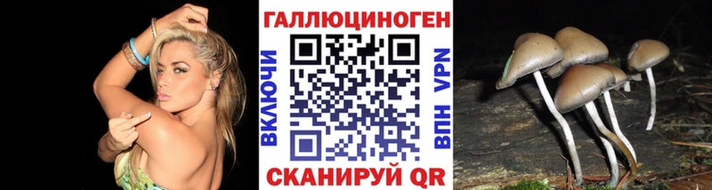 Псилоцибиновые грибы мицелий  Чёрмоз 